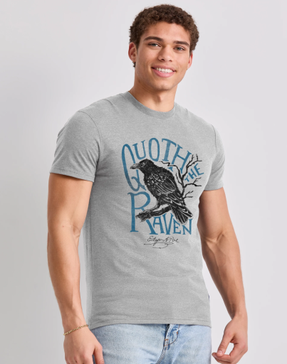 hanes men's edgar allen poe graphic t-shirt men Hanes