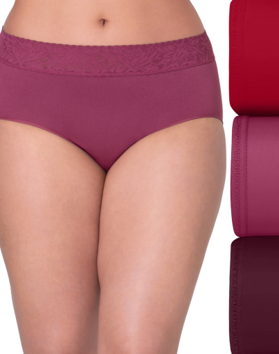 bali modern seamless lace trim brief underwear 3-pack women bali