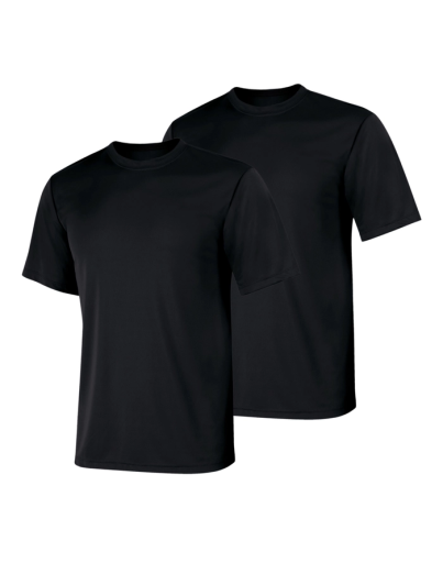 hanes sport cool dri men's performance t-shirt 2-pack men Hanes