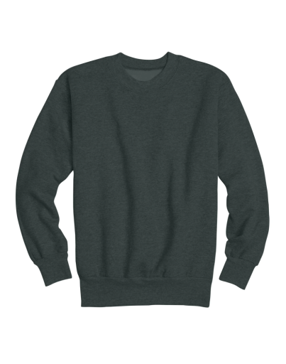 p360-hanes ecosmart kids' crewneck sweatshirt youth Hanes