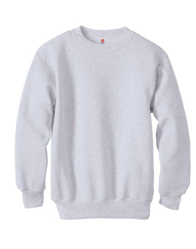 p360-hanes ecosmart kids' crewneck sweatshirt youth Hanes