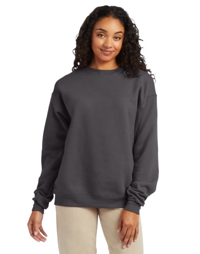 p160-hanes ecosmart fleece sweatshirt men Hanes