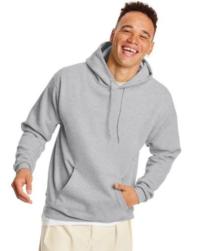 p170-hanes ecosmart fleece pullover hoodie men Hanes