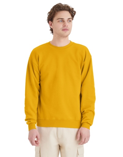 p160-hanes ecosmart fleece sweatshirt men Hanes