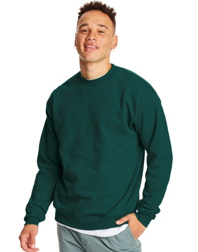 p160-hanes ecosmart fleece sweatshirt men Hanes