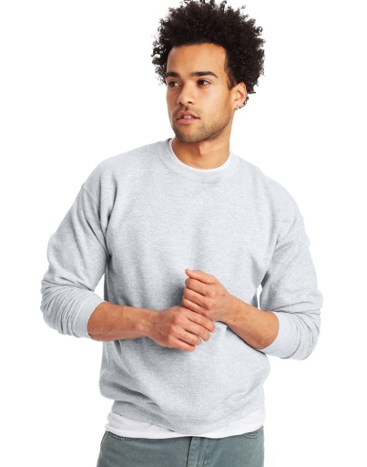 p160-hanes ecosmart fleece sweatshirt men Hanes