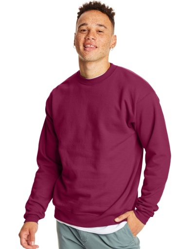 p160-hanes ecosmart fleece sweatshirt men Hanes