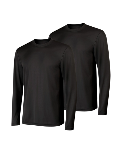 hanes sport cool dri men's performance long sleeve t-shirt value 2-pack men Hanes