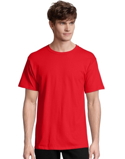 Hanes Men's TAGLESS® ComfortSoft® Crewneck T-Shirt men Hanes