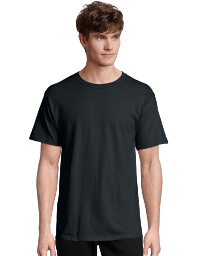 5280-hanes men's essential-t short sleeve t-shirt men Hanes