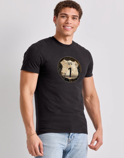 hanes men's us 1 graphic tee men Hanes