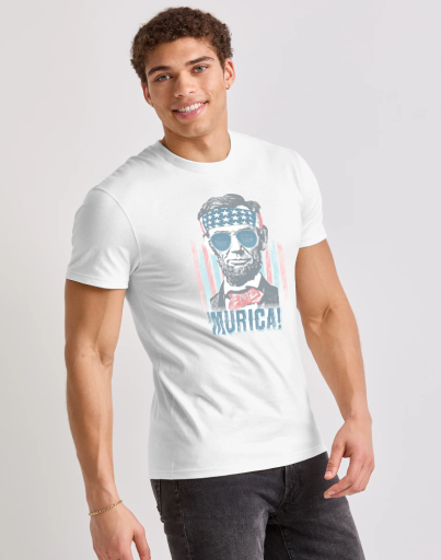 men's  murica graphic tee men Hanes