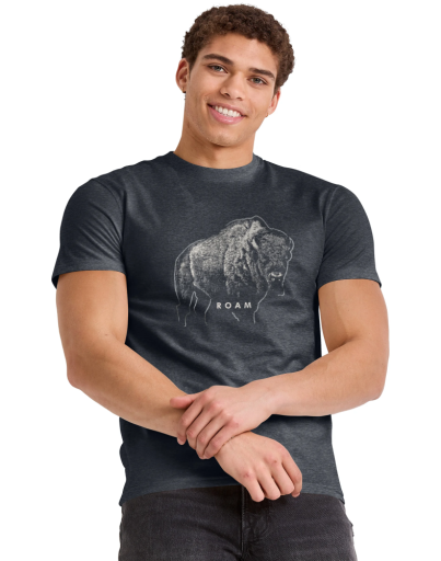 hanes men's bison roam graphic tee men Hanes