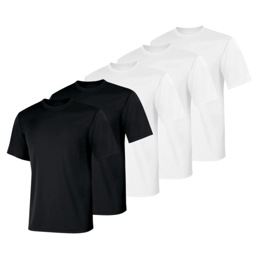 hanes sport cool dri men's performance t-shirt, value 5-pack men hanes