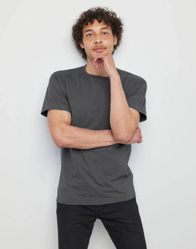 hanes essentials men's cotton t-shirt men hanes