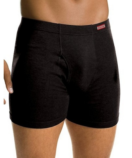 men's tagless boxer briefs with comfortsoft waistband 2-pack men Hanes