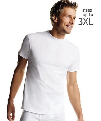 Hanes Men's White TAGLESS® Crewneck Undershirt 5-Pack men Hanes