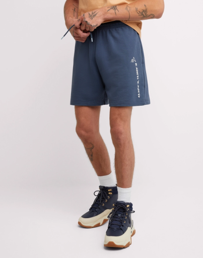 hns m explorer ft short men Hanes