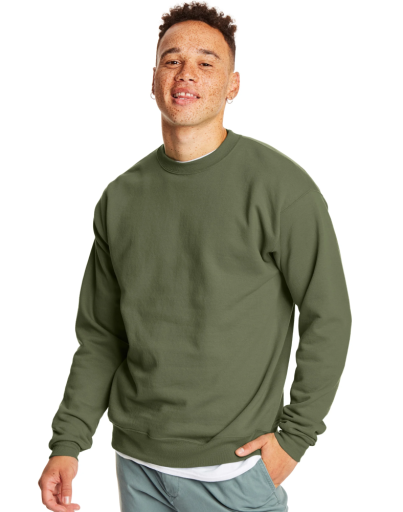 hanes ecosmart men's fleece sweatshirt (big & tall sizes available) men Hanes