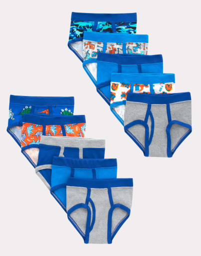 hanes toddler boys' tagless briefs dinosaur prints & solids 10-pack youth Hanes